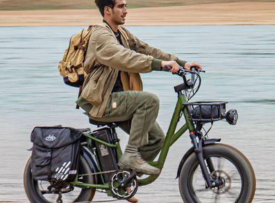 FIIDO T1 pro v2 upgraded Cargo Electric Bike