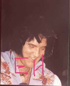 Elvis Harford Connecticut 1976 in concert 8X10 photograph