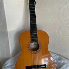acoustic Guitar