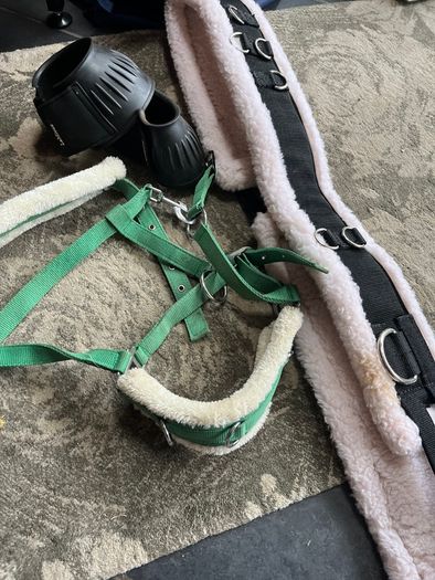 Horse and Pony items