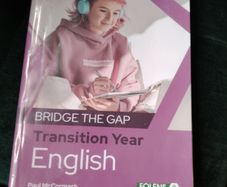 Bridge The Gap English