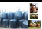Organic Haylage