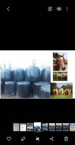 Organic Haylage