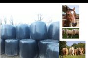 Organic Haylage