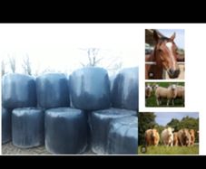 Organic Haylage