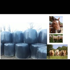 Organic Haylage