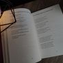 Danta: 1966-1998 ! by Michael Davitt ! Irish Book ! 2009 ! Image 10