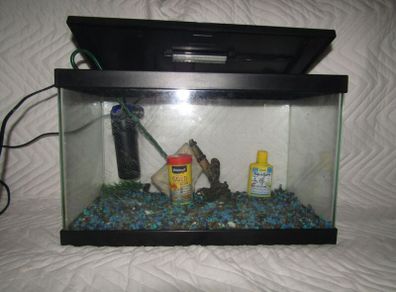Fish tank with light + Accessories