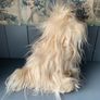 TY Bear Bixie The Dog Image 2