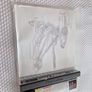Brahma Force PlayStation1 Ps1 PlayStation2 Ps2 Games Original Image 4