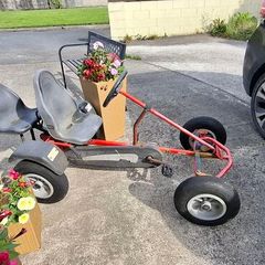 berg go cart 200 ono