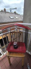 cage