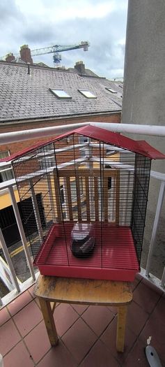 cage