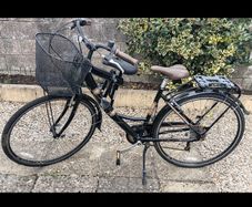 Womens Bicycle