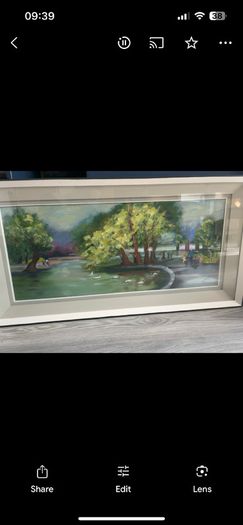 Herbert Park by B. ONeill Original Oil Painting