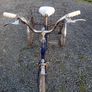 Bike Image 2