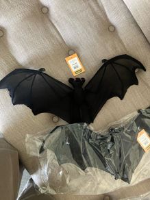 Large Hanging bats