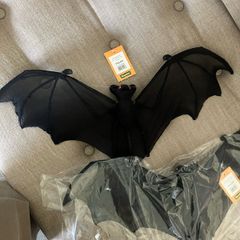 Large Hanging bats