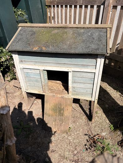 Chicken Coop