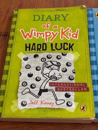 Dairy of a wimpy kid books