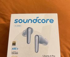 Earphones