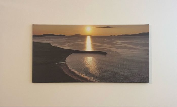 100cm x 50cm canvas