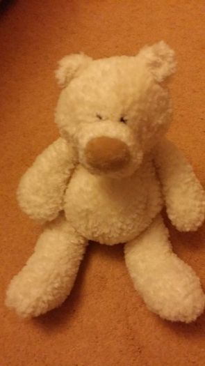 Teddy