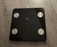Body fat scale weight