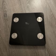 Body fat scale weight