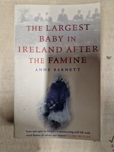 irish history,  politics and interests