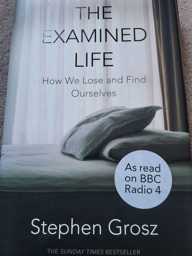 The Examined Life .  Stephen Grosz