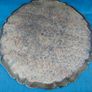 Vintage Florentine Serving Tray Image 8