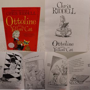 Ottoline and the yellow cat by Chris Riddell