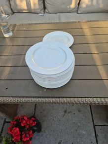 crockery 9 inch  plates