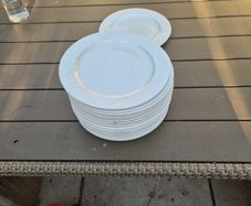 crockery 9 inch  plates