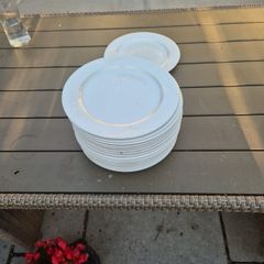 crockery 9 inch  plates