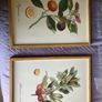 Gorgeous pair of pictures Image 3