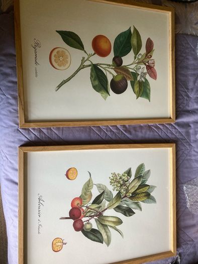 Gorgeous pair of pictures