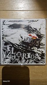 Diplo - Florida.