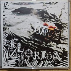 Diplo - Florida.
