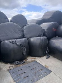 Round bales of silage