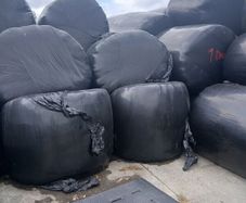 Round bales of silage