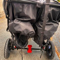 Double OutnAbout Buggy. Just professionally cleaned.