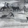 1846 London Illustrated News 25 Volums Image 8