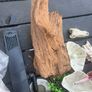 natural driftwood for aquarium Image 3