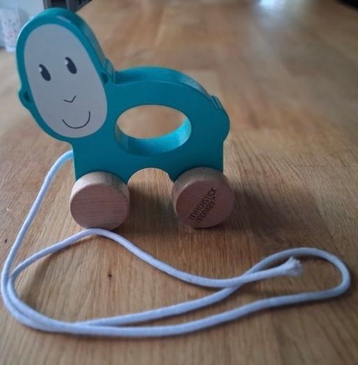 Matchstick Monkey Playtime Pull-Along Turquoise Monkey Toy