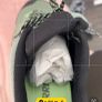 Adidas Terrex AX4 Hiking Shoes - Brand New in Box Image 5