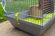 small hamster cage