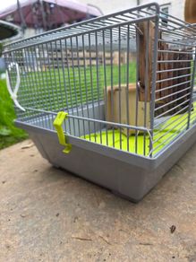 small hamster cage