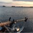 ARSEBISCUITS_FORDE
